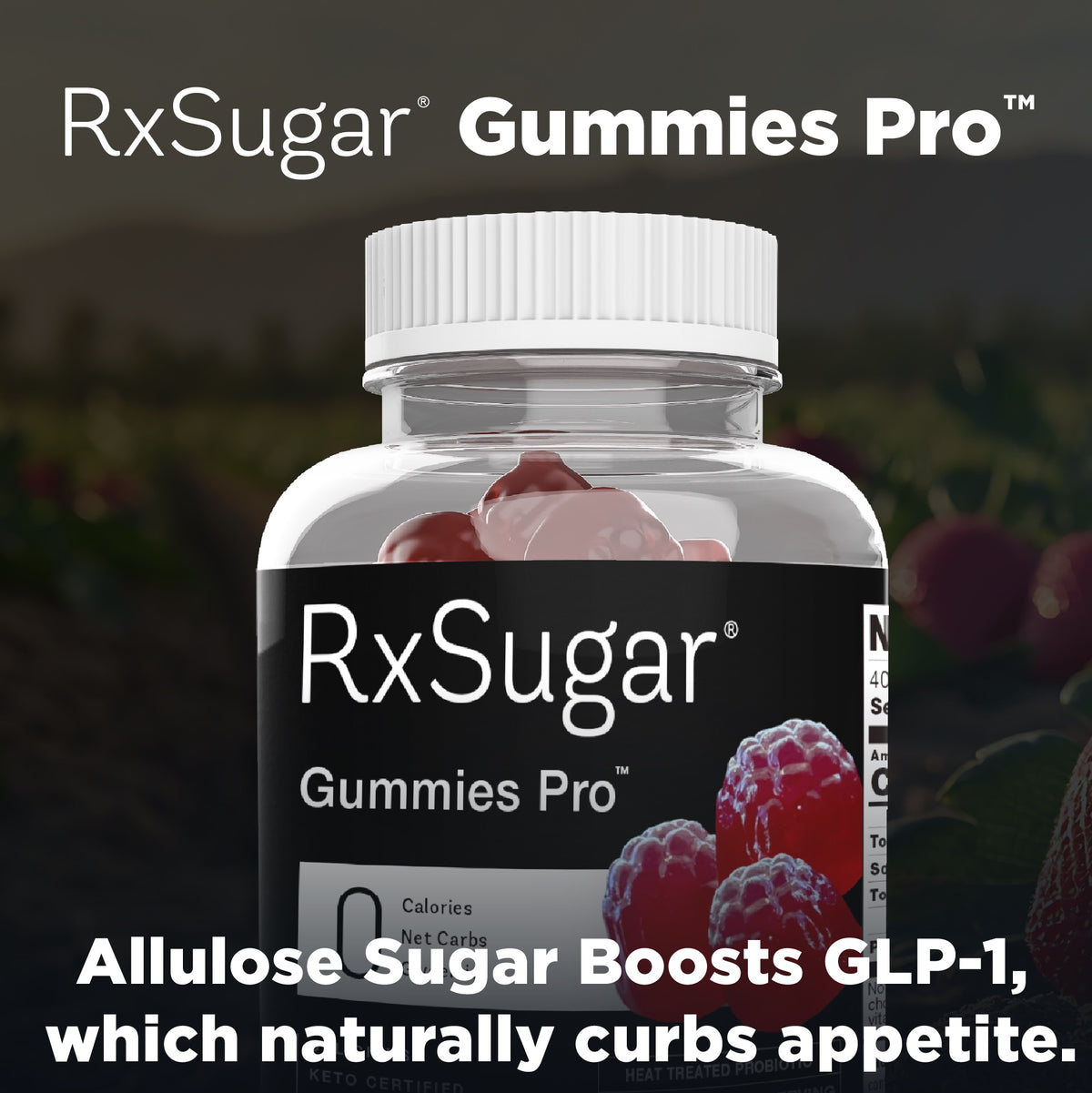 RxSugar GLP-1 Boost Starter Pack